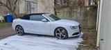Audi A5 Cabrio 3,0 TDI S-Line - Audi Cabriolet Gebrauchtwagen