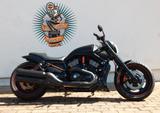 Harley-Davidson VRSCDXA NIGHT ROD SPEZIAL  - Offers