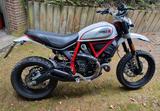 Ducati Scrambler Desert Sled - Offers matching your search criteria