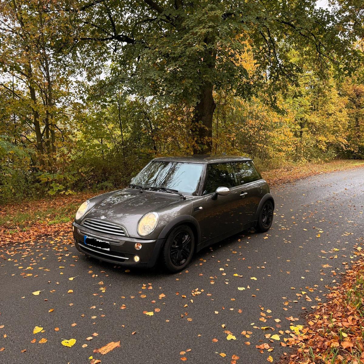 MINI ONE