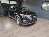 Hyundai Tucson Intro Edition 1,6TGDI 4WD*Navi*Xenon* - Hyundai: In