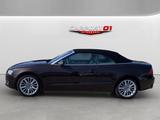 Audi A5 Cabriolet 2.0 TFSI/S-LINE/Verdeck Neu/Scheckh - Audi A5: Braun, Cabrio