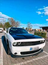 Andere Dodge Challenger 3,6l Sternhimmel und co. - Andere Gebrauchtwagen