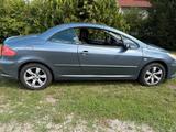 Peugeot 307 CC - Peugeot 307 aus 2007: 307cc