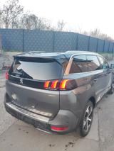 Peugeot 5008 BlueHDi 130 EAT8 GT Line 7 Sitzer - Peugeot: Sitzer 8