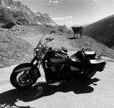 Kawasaki VN 900 (Vulcan) Special Edition schwarz (selten) - KAWASAKI VULCAN S SPECIAL EDITION