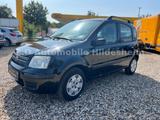 Fiat Panda 1.2 8V Dynamic Klima Tüv Neu ?1Hand? - Fiat Panda: Dynamic
