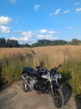 Triumph Speed Triple T509 - TRIUMPH TRIPLE SPEED T509