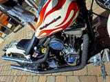 Harley-Davidson FXSTS - HARLEY-DAVIDSON FXSTS