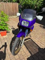 Honda Transalp PD 06 - HONDA TRANSALP PD06