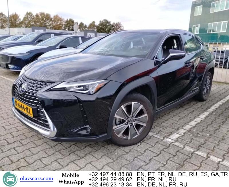 Lexus UX 300e Aut. LED-Xenon Navi Leather-Alcantara K