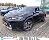 Lexus UX 300e Aut. LED-Xenon Navi Leather-Alcantara K - schwarze Lexus UX