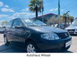Fiat Punto 1.2 8V Dynamic - Fiat Punto: Kleinwagen