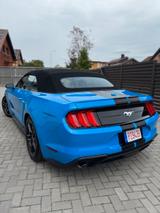 Ford Mustang 2.3L EcoBoost, Auto, 239 kW, 2022 - Ford: 20m