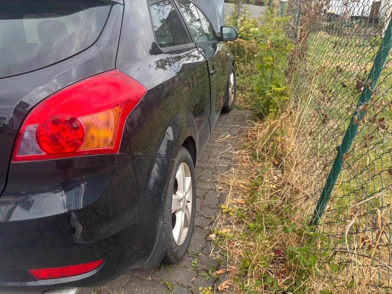 Kia pro_cee'd / ProCeed 1.4 CVVT Seven Stars pro...