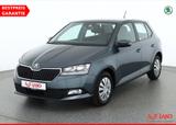 Skoda Fabia 1.0 MPI Ambition Kamera SmartLink Tempomat - Skoda Fabia Gebrauchtwagen in Kassel