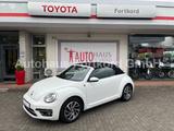 Volkswagen The Beetle Cabriolet 1.4 TSI Sound - Navi, PDC,  - Vorführwagen-Angebote