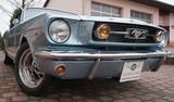 Ford Mustang GT STYLE - V8 Automatik    "neuer Motor" - Ford Mustang: Motor
