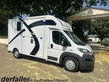 Fiat Ducato Theault 1-2 Pferde mit Hengsttrennung - Tier- & Pferdetransport für 2 Pferde