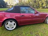 Mercedes-Benz SL 280 (R129) | H-Kennzeichen | Vollrestauriert - Mercedes-Benz SL 280: Cabrio