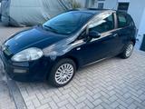 Fiat Punto 1.4 Dualogic | TÜV neu | 101.676 km | - gebrauchte Fiat Punto aus dem Jahr 2010