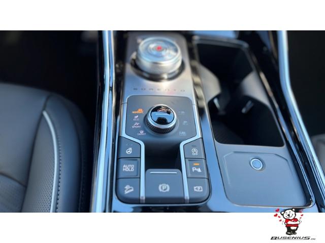 Kia Sorento 2.2 CRDI Platinum 4WD 7-Sitzer +AHK+Napp