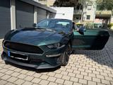 Ford Mustang 5.0 Ti-VCT V8 Bullitt - Ford Mustang mit Benzin-Antrieb: Coupé, Bullit