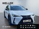 Lexus UX 250h Style+ Edition *LED*ACC*CAM*SHZ*CarPlay* - Lexus aus 2021