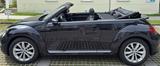Volkswagen New Beetle - schwarze Volkswagen New Beetle