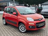 Fiat Panda Lounge Automatik - Klimaanlage - Fiat Panda mit Benzin-Antrieb: Kleinwagen, Automatik