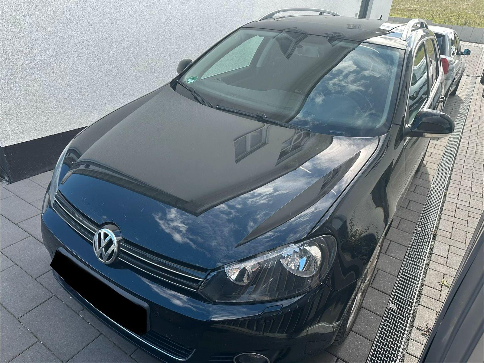 Volkswagen Golf 2010 — rear view