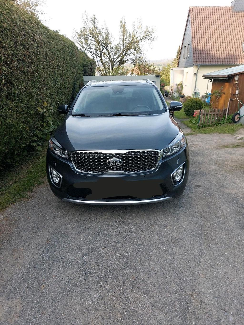 Kia Sorento 2.2 CRDi AWD Aut. Platinum Edi...
