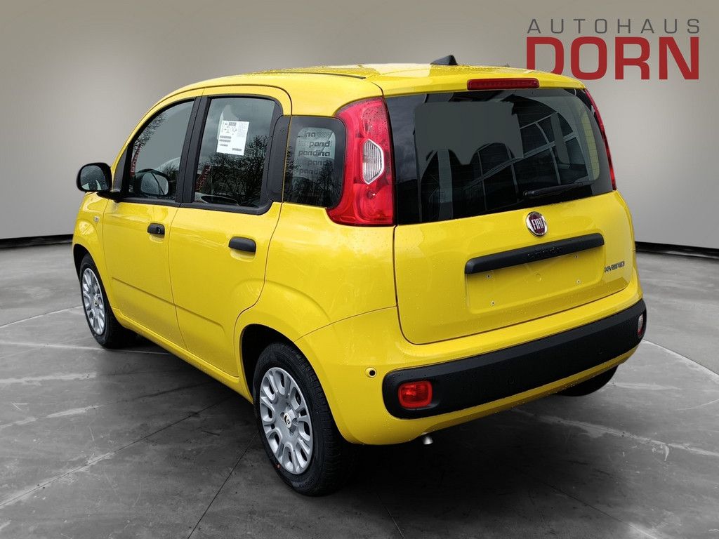Fiat Panda - Bild 2