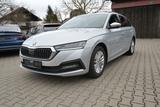Skoda Octavia Combi Ambition/AHK/ACC/Virtual C. - Skoda mit Diesel-Antrieb: Van