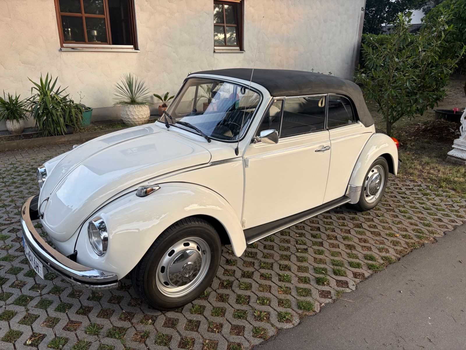 VW Käfer 2