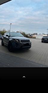 Andere range rover evoque - Andere aus 2015