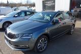 Skoda Octavia Combi Premium Edition 4x4 LED  SH StH - Skoda Octavia: Premium Edition