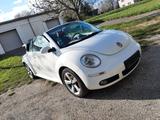 Volkswagen Beetle 1.8 turbo cabrio - Volkswagen Beetle aus 2008: Cabrio