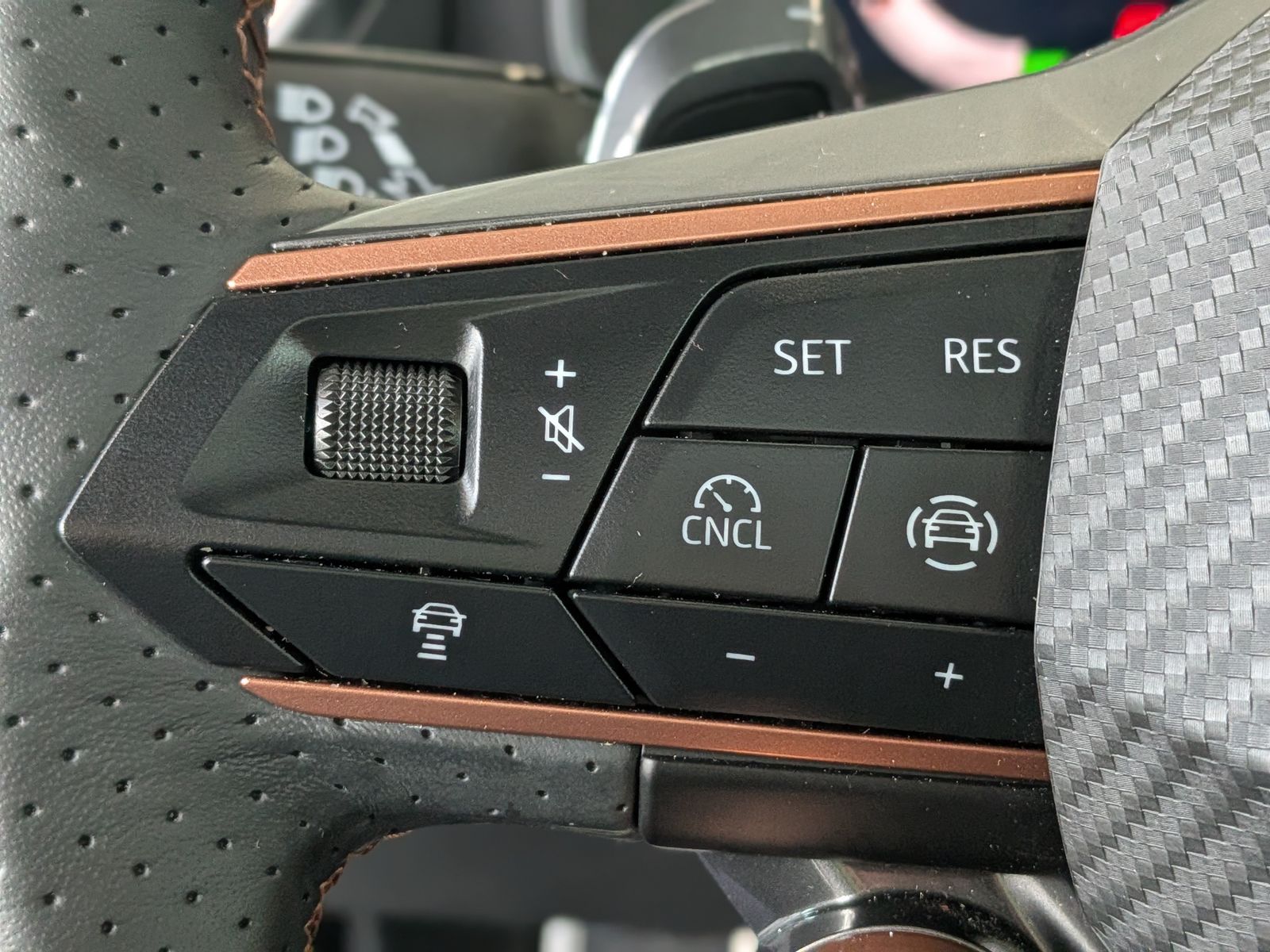 Fahrzeugabbildung CUPRA Leon 1.5 eTSI DINAMICA MATRIX ACC PANO AHK 5J-Ga