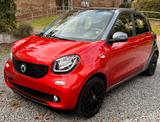 Smart Forfour 90PS Navi, Pano, PDC, SH und mehr - Smart ForFour von privat