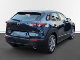 Mazda CX-30 SKYACTIV-X M Hyb. Selection 2WD - Mazda CX-30 Gebrauchtwagen