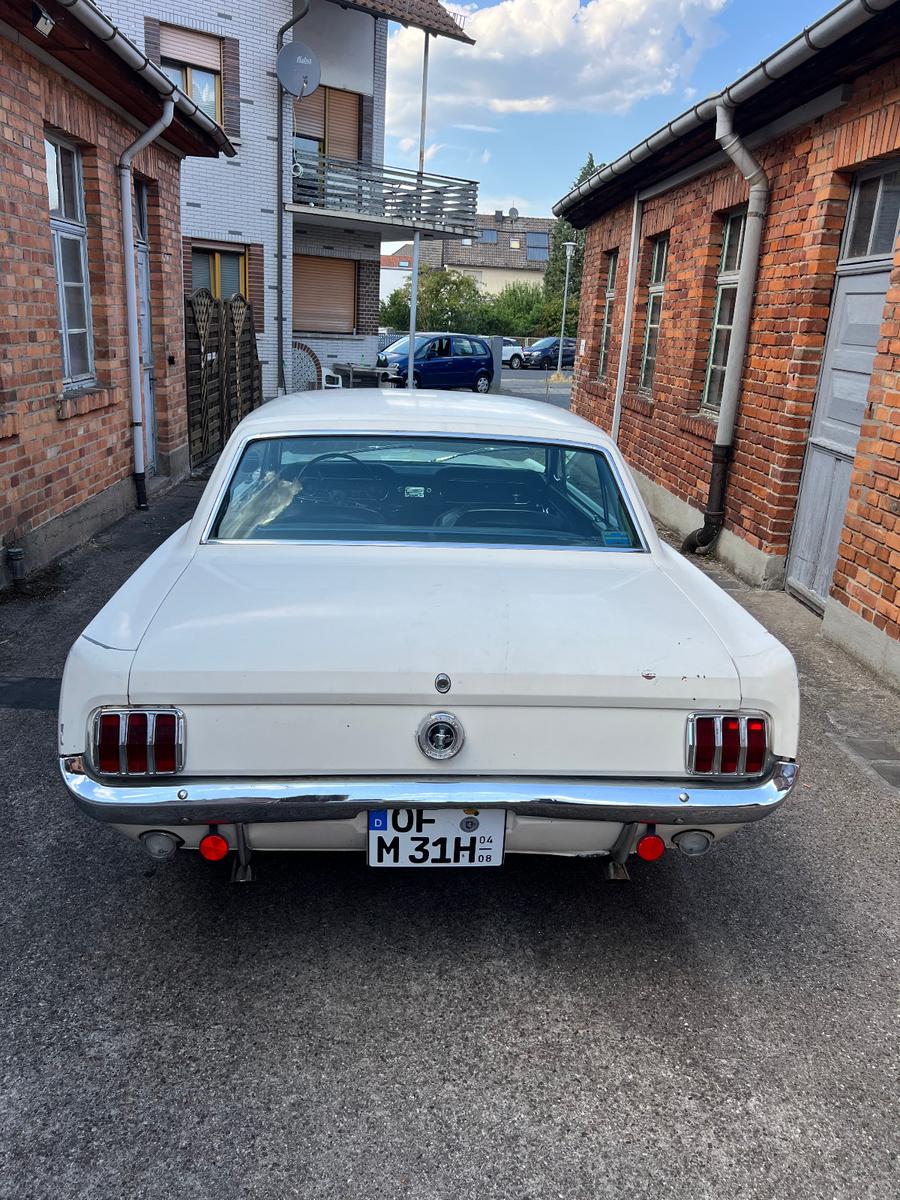 Ford Mustang 1965 / 289 V8