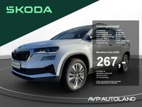 Skoda Karoq - Vorschau Bild 1