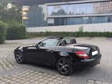 Mercedes-Benz SLK 280 | V6 | Designo | Tüv Neu | Top gepflegt  - Mercedes-Benz: Slk Designo