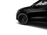 Audi Q8 - Vorschau Bild 3