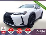 Lexus UX 250h Launch Edition LED Nav ParkAs KeyL SHZ - Lexus UX aus 2019
