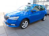 Skoda Fabia 1.0 TSI RFK/Klima/NSW/ACC/SHZG/LED - Skoda Fabia Gebrauchtwagen in Kassel