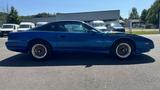 Pontiac Firebird Trans Am - Pontiac Trans Am mit Benzin-Antrieb