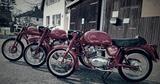 Moto Guzzi Stornello TS 125 / Lodola 235 / Regolarita - MOTO GUZZI STORNELLO