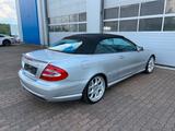 Mercedes-Benz CLK 55 AMG Cabrio BOSE/SITZBELÜFTUNG/TOP-ZUSTAND - Mercedes-Benz CLK 55 AMG: Cabrio